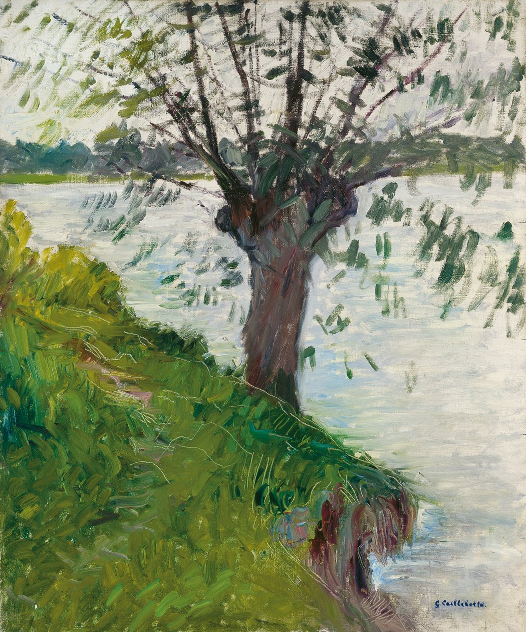 Pil ved elven; Saule au bord de la riviere, ca. 1891 av Gustave Caillebotte