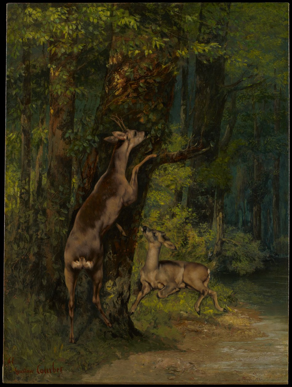 Hjort i skogen av Gustave Courbet