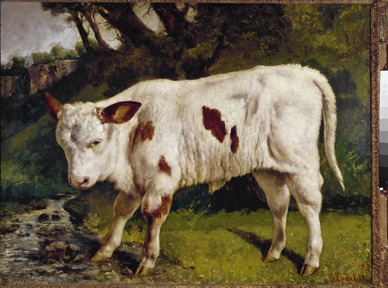 Kalven av Gustave Courbet