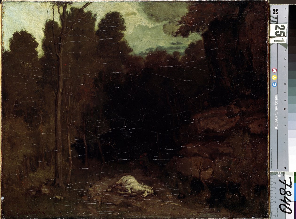Ukjent bilde av Gustave Courbet
