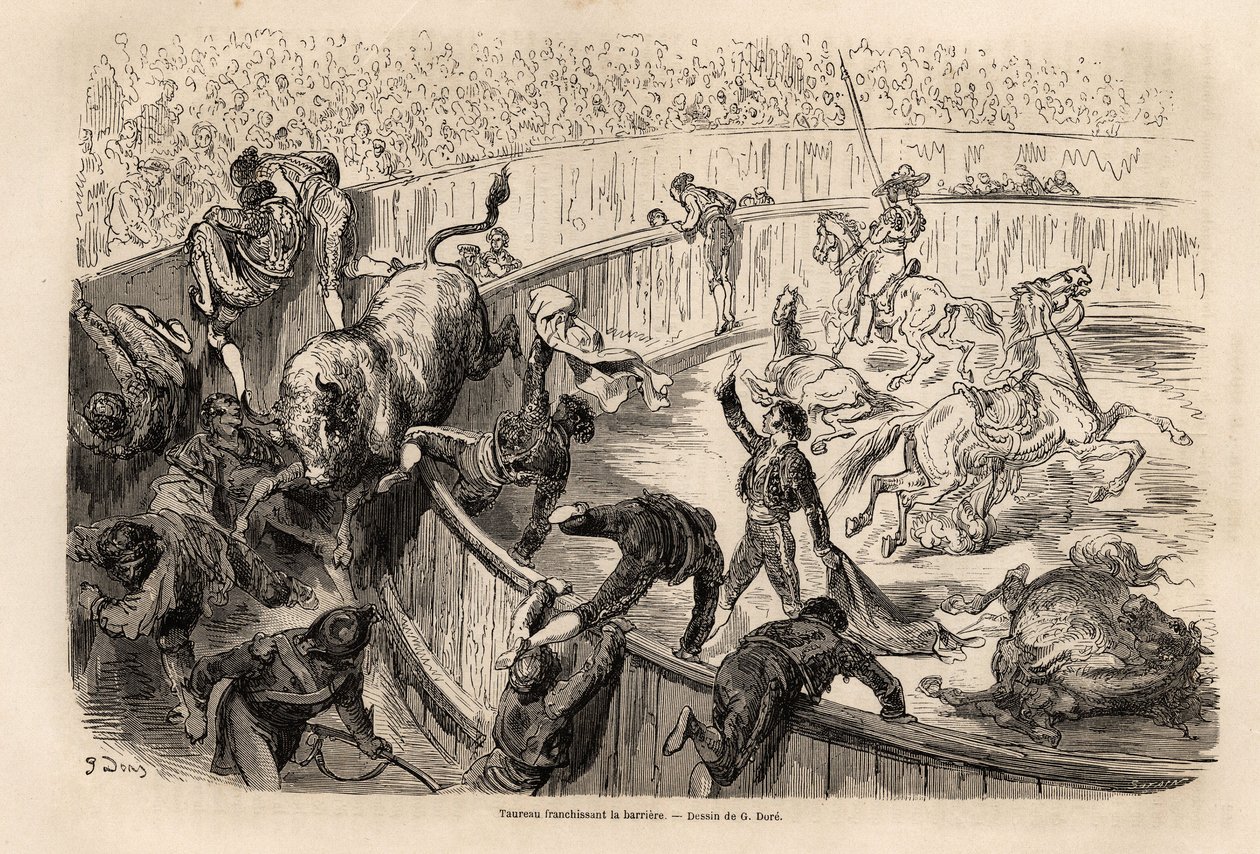 En okse som krysser barrieren, under en tyrefekting i Valencia, tegning av Gustave Dore (1832-1883), for å illustrere hans reise til Spania, med C. Davillier, i 1862. Gravering i "" Le tour du monde "", redigert av Edouard Charton av Gustave Dore