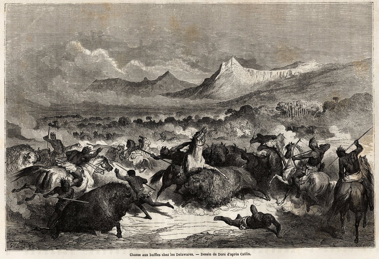 Bøffeljakt blant Delawares, indianere som bor ved bredden av elven med samme navn, tegning av Gustave dore (1832-1883), for å illustrere reisen til Mississippi til Stillehavet i 1853-54 av Baudouin Mollhausen (1825- 1905). Engravi av Gustave Dore