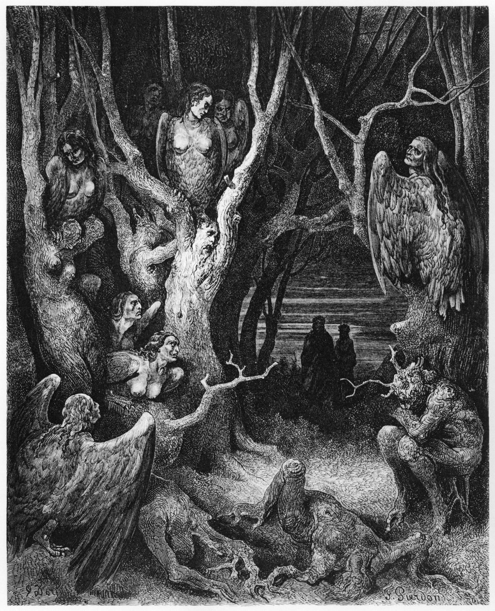 Harpies, illustrasjon fra 