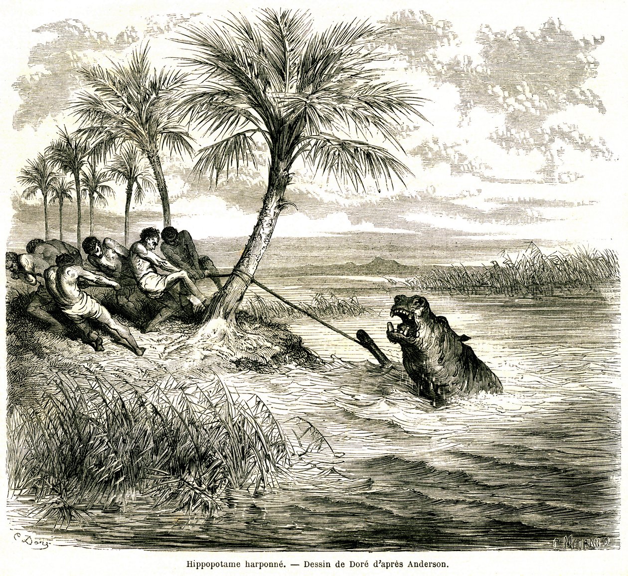 av Gustave Dore