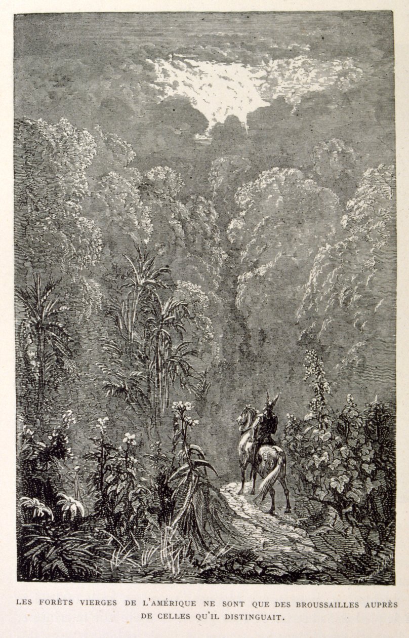 Illustrasjon av en amerikansk skog. Fra Legenden om Bogey. av Gustave Dore