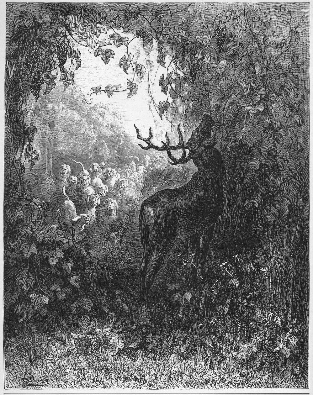 THE DEER AND THE VINE - The deer and the vine - fra "Fables" av Jean de La Fontaine av Gustave Dore