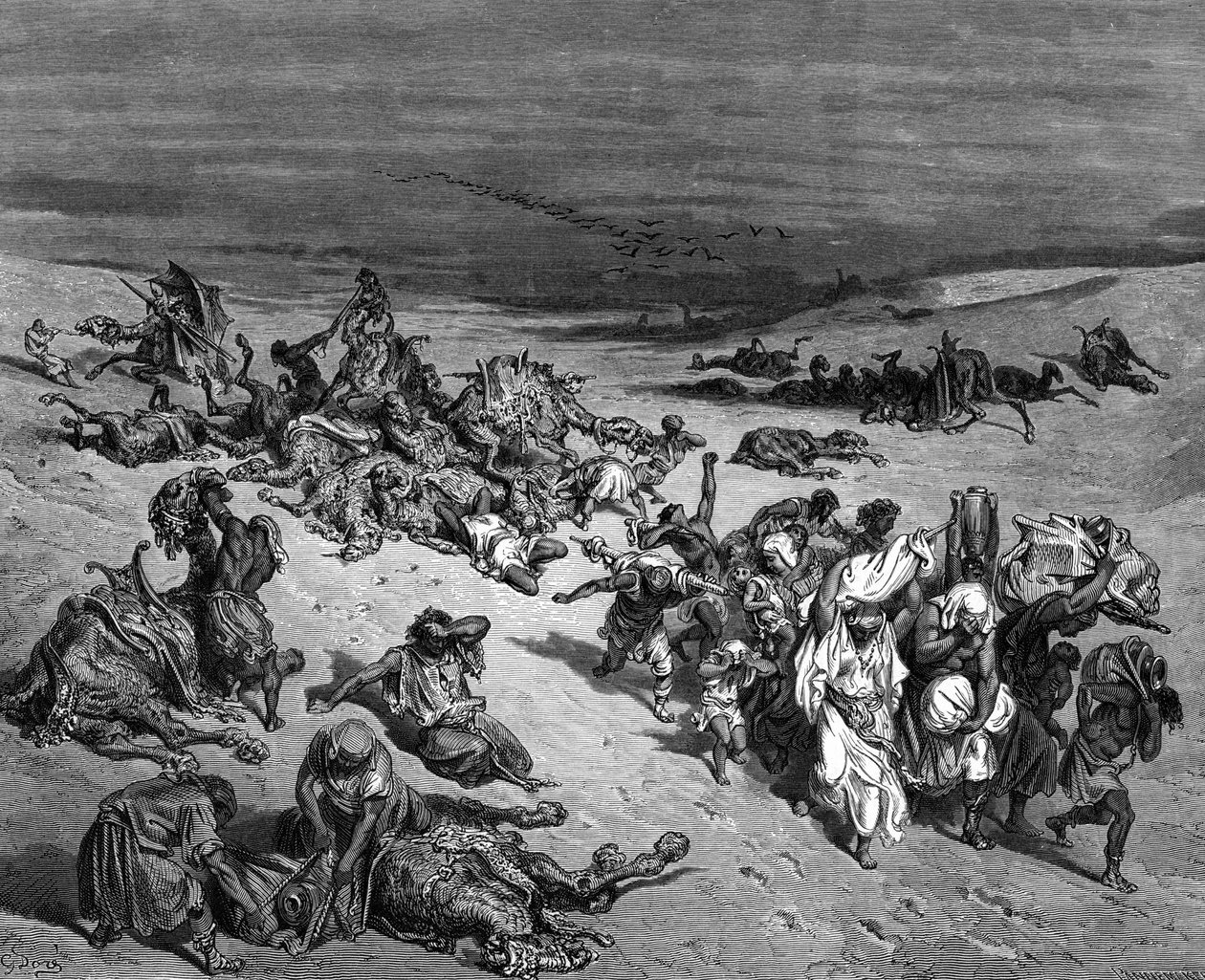 'Pest' en av de syv plagene i Egypt: Exodus. Illustrasjon av Gustave Dore (1832-1883) fransk maler og bokillustratør for The Bible (London 1866). Tregravering. av Gustave Dore