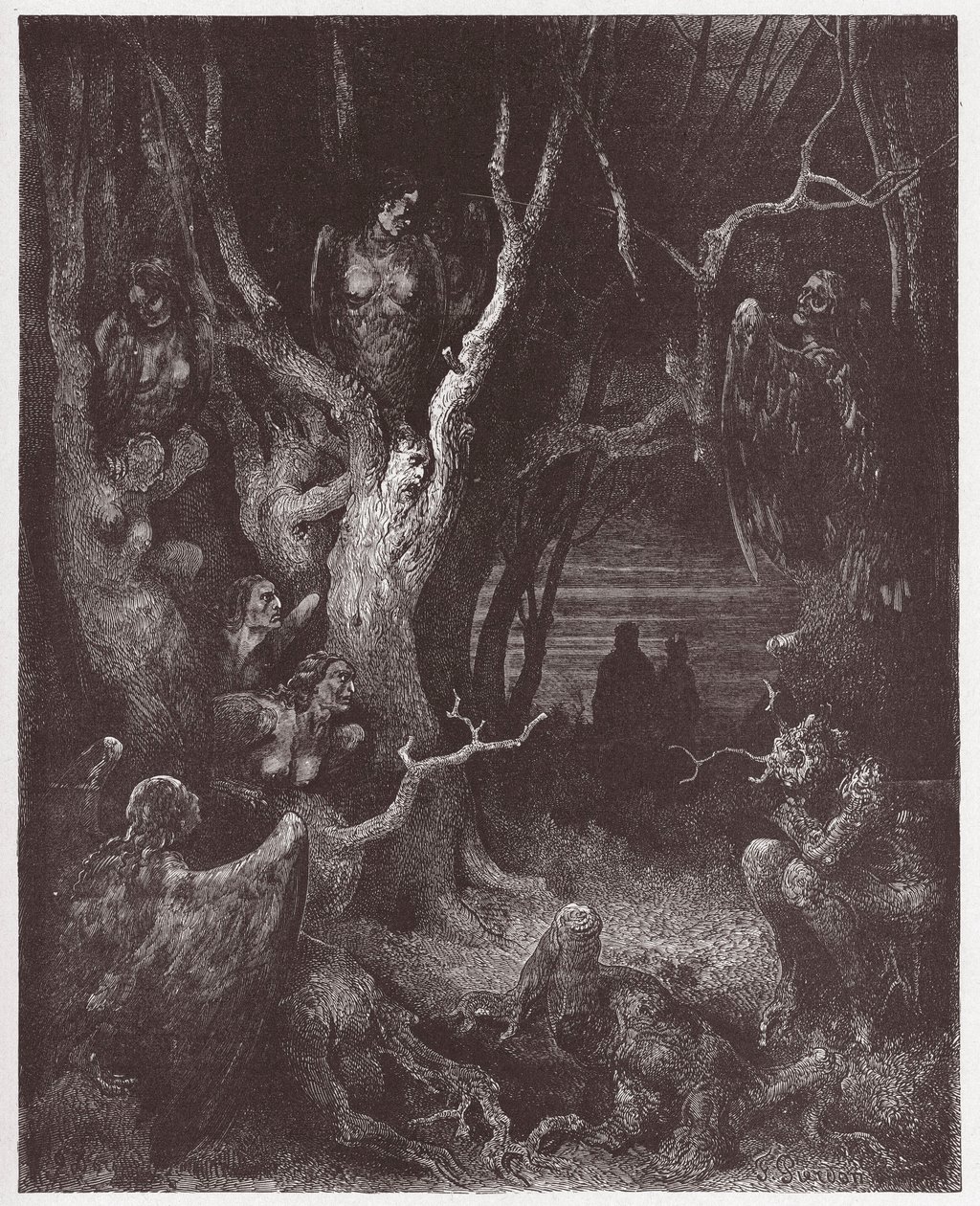 Den guddommelige komedie (La Divina Commedia, La Divine Comedie), Inferno, Canto 13: Harpiene i selvmordsskogen - av Dante Alighieri (1265-1321) - Illustrasjon av Gustave Dore (1832-1883) av Gustave Dore
