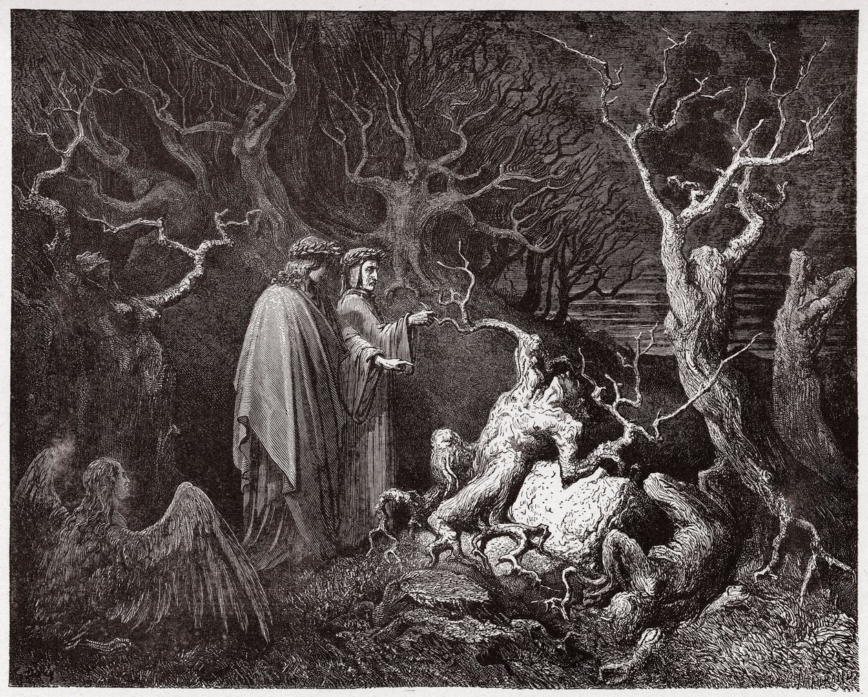 Den guddommelige komedie (La Divina Commedia, La Divine Comedie), Inferno, Canto 13: Selvmordene i skogen - av Dante Alighieri (1265-1321) - Illustrasjon av Gustave Dore (1832-1883) av Gustave Dore