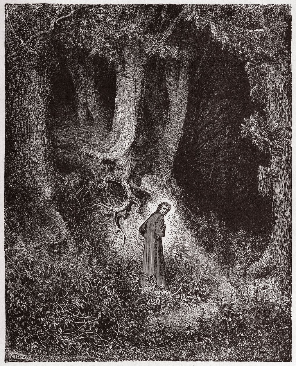 The Divine Comedy (La Divina Commedia, La Divine Comedie), Inferno, Canto 1: Dante in the savage wood - av Dante Alighieri (1265-1321) - Illustrasjon av Gustave Dore (1832-1883) av Gustave Dore