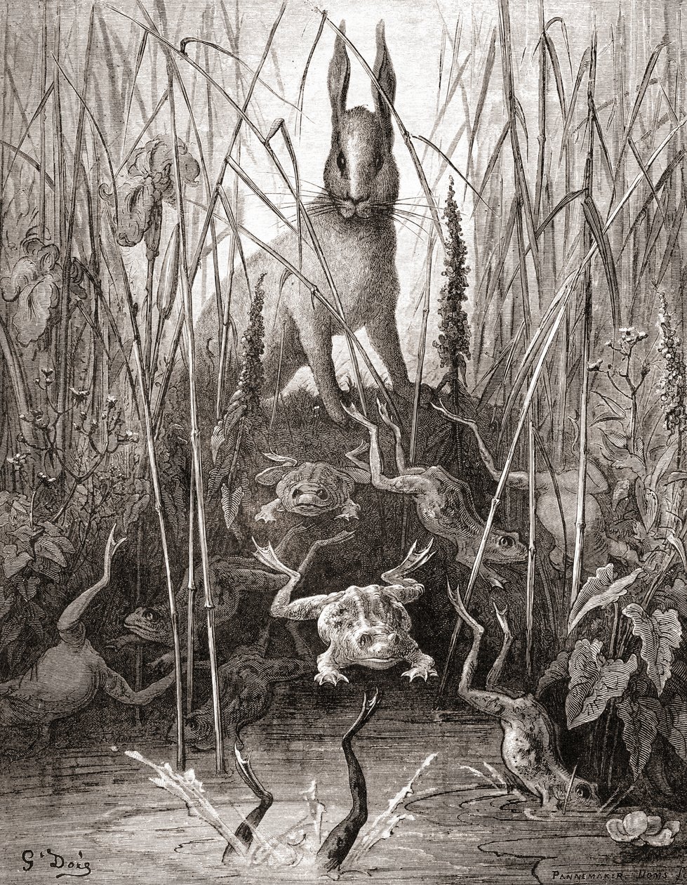 The Hare and The Frogs, fra en utgave av slutten av 1800-tallet av Fables de La Fontaine (tregravering) av Gustave Dore