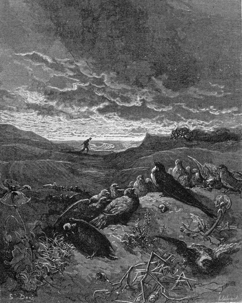 The Swallow and the Birds, illustrasjon fra 