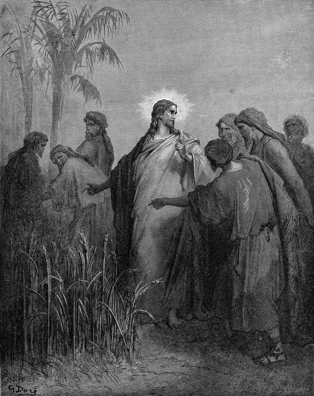 Disiplene plukker korn på sabbaten av Gustave Dore