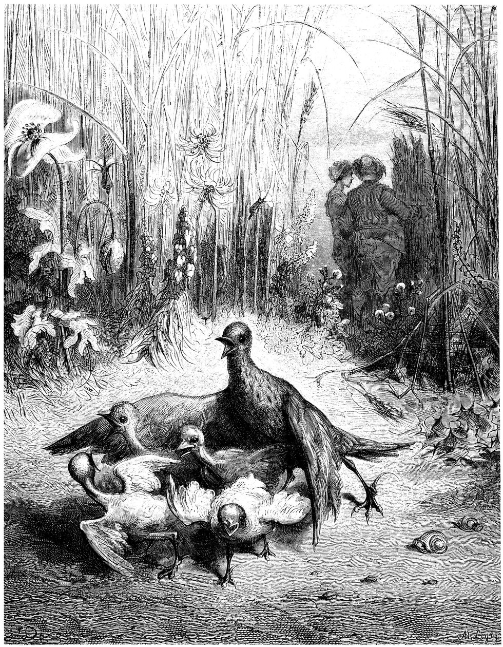  av Gustave Dore