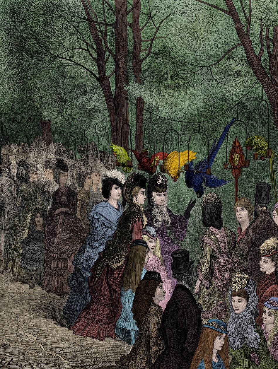 Papegøyevandringen i en viktoriansk dyrehage i London av Doré av Gustave Dore