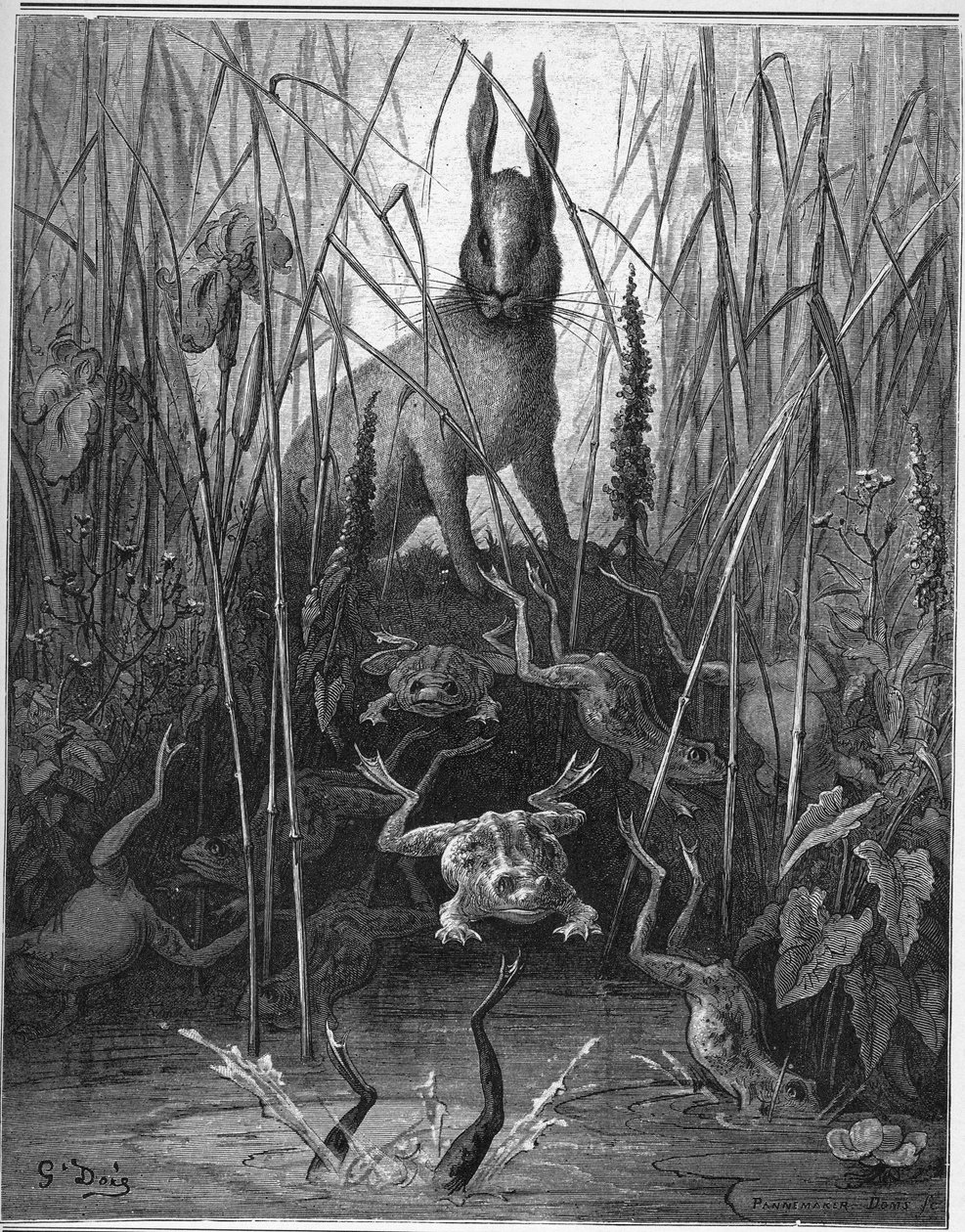 haren og frosken - The Hares and the Frogs - fra "Fables" av Jean de La Fontaine av Gustave Dore