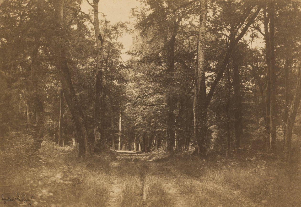 Bas-Bréau, Fontainebleau-skogen av Gustave Le Gray