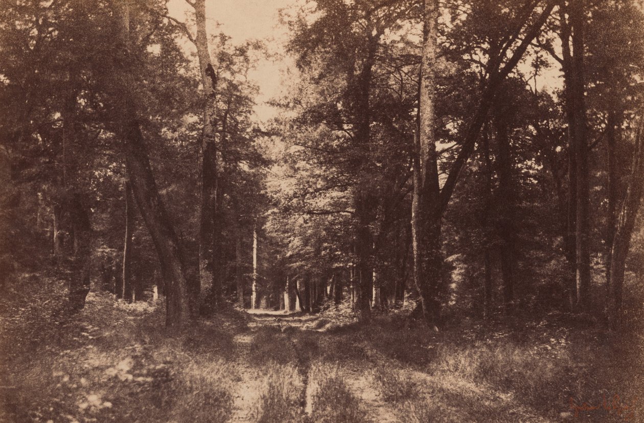  av Gustave Le Gray