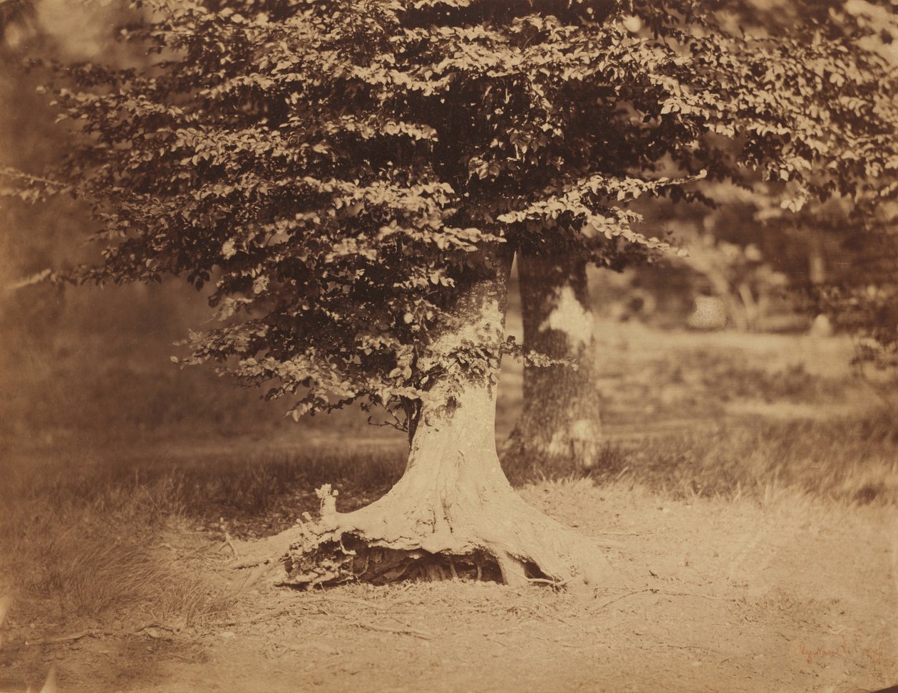  av Gustave Le Gray