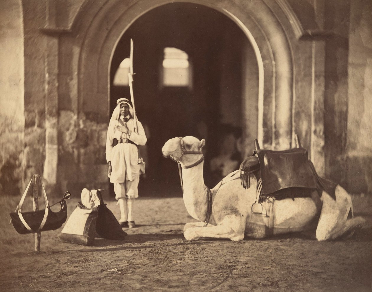 Kamel liggende, ca. 1866 (fotogravyr) av Gustave Le Gray