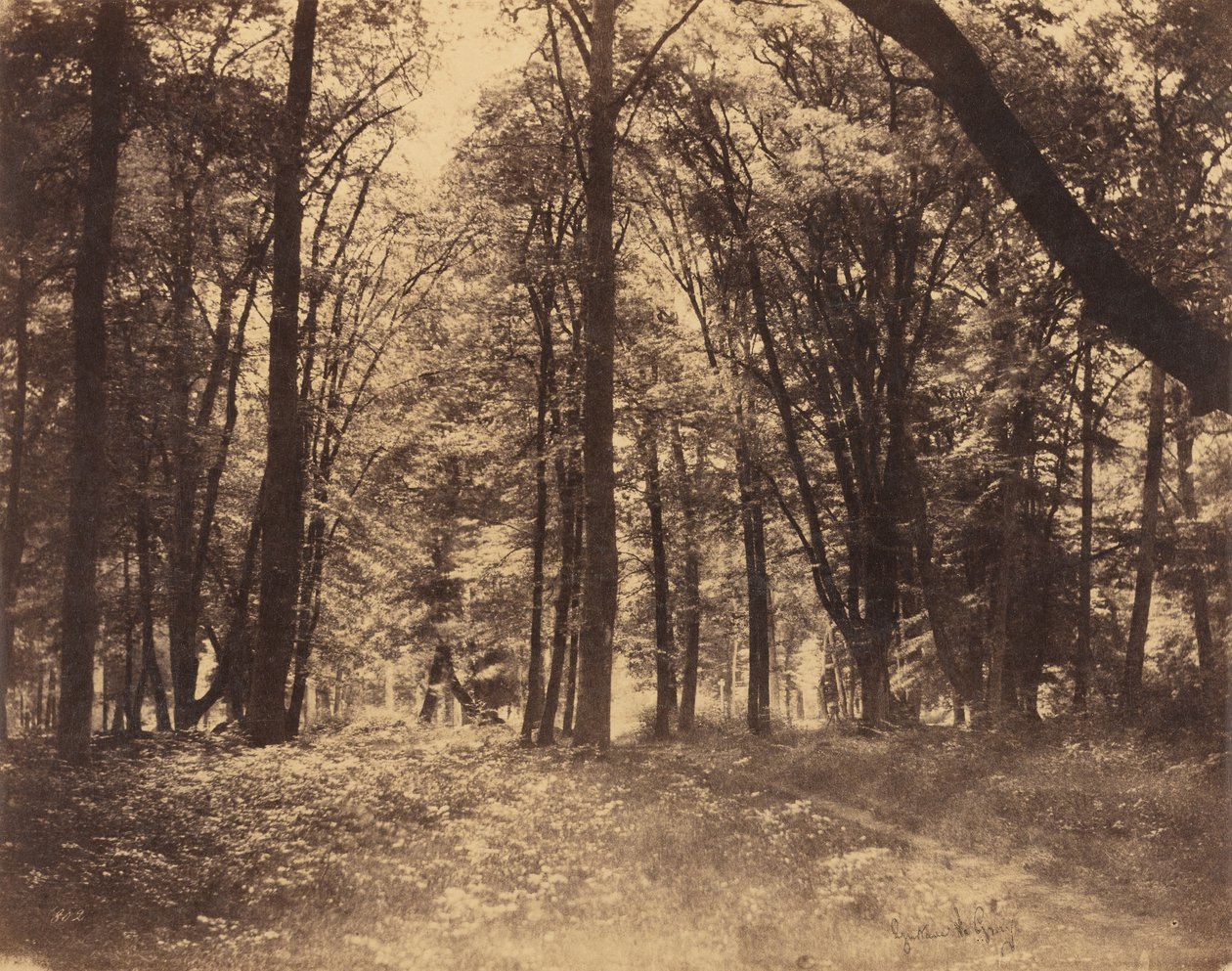  av Gustave Le Gray