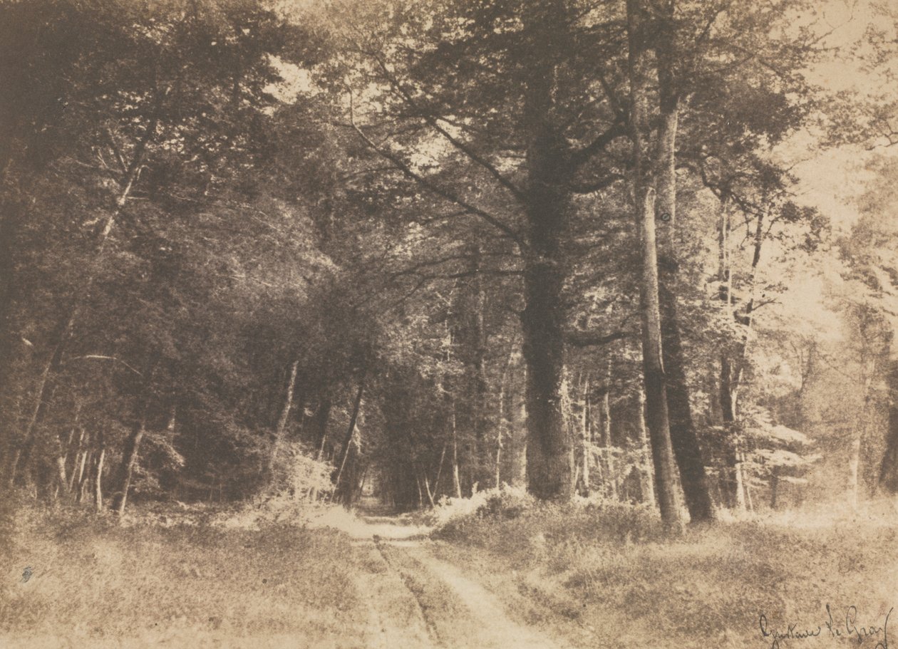 Sti i Fontainebleau-skogen av Gustave Le Gray