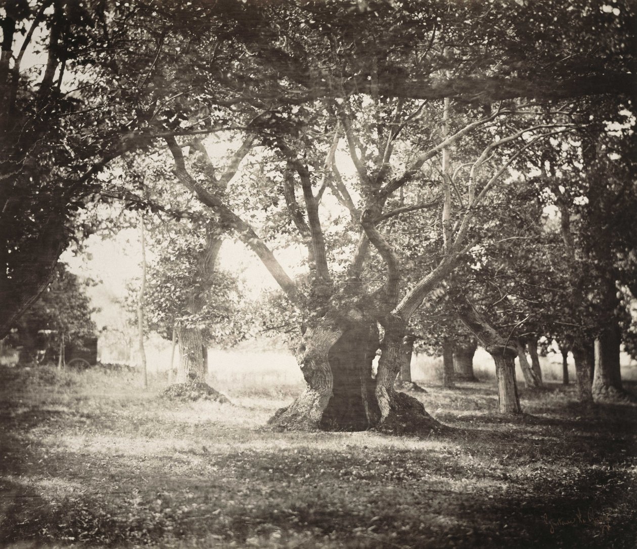  av Gustave Le Gray