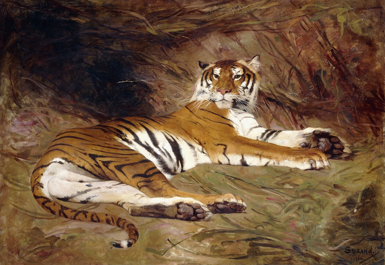 En liggende tiger av Gustave Surand