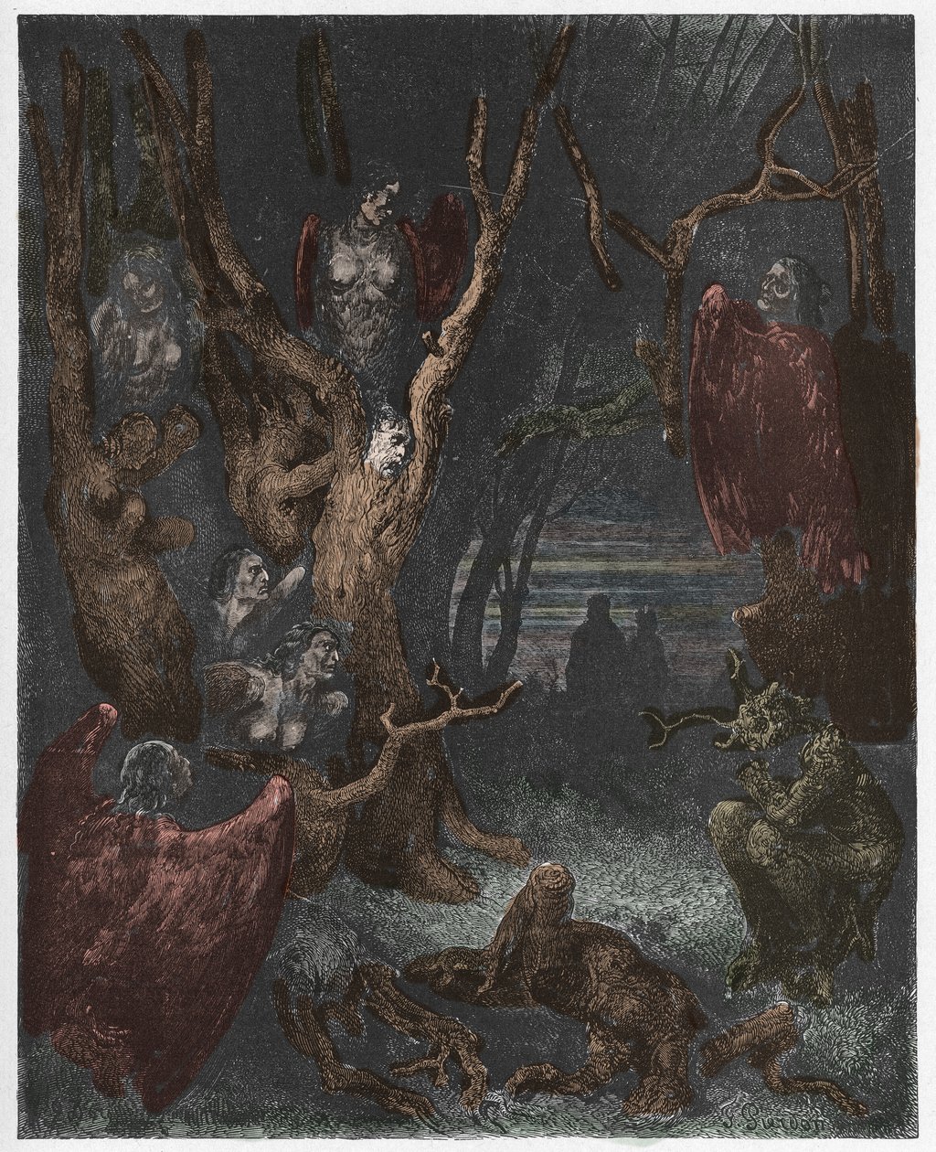 Inferno, Canto 13: Harpiene i selvmordsskogen, illustrasjon fra The Divine Comedy av Dante Alighieri, 1885 (digitalt farget gravering) av Gustave after Dore