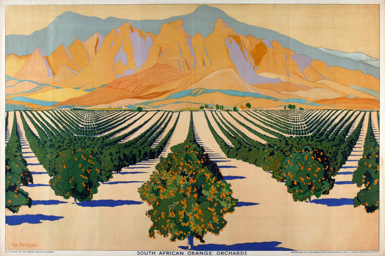 South African Orange Orchards, fra serien 'Summer's Oranges from South Africa' (farge litho) av Guy Kortright