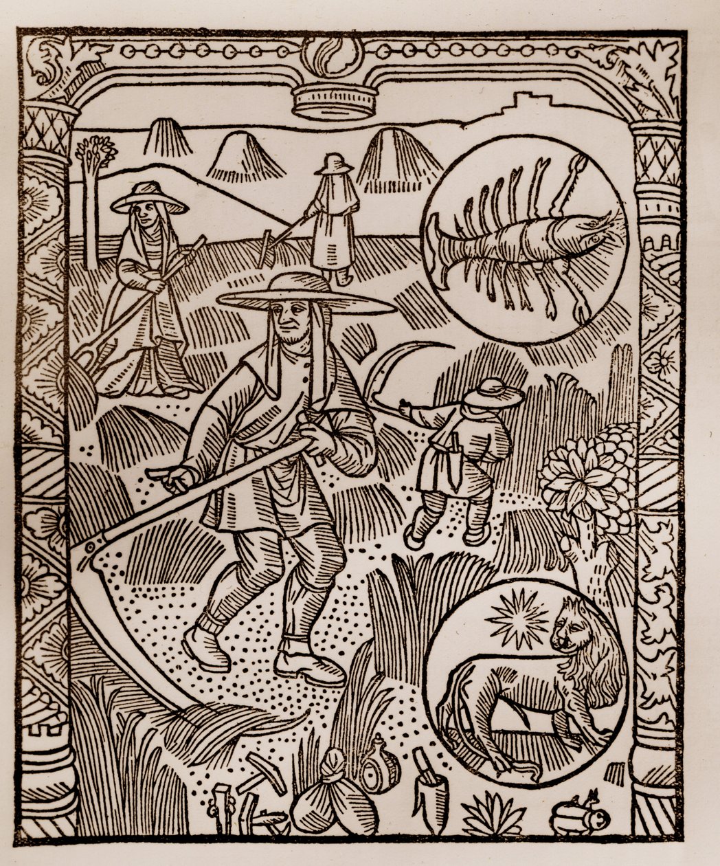 Hyrdekalender - Månedens arbeid - Juli - Tresnitt fra boken fra 1496 trykket av Guy Marchant (Guido Mercator) i Troyes - Hay, la coupe des hay - Gravering sur bois i "" Le grand Calendrier et compost des shepherds"" - av Guy Marchant