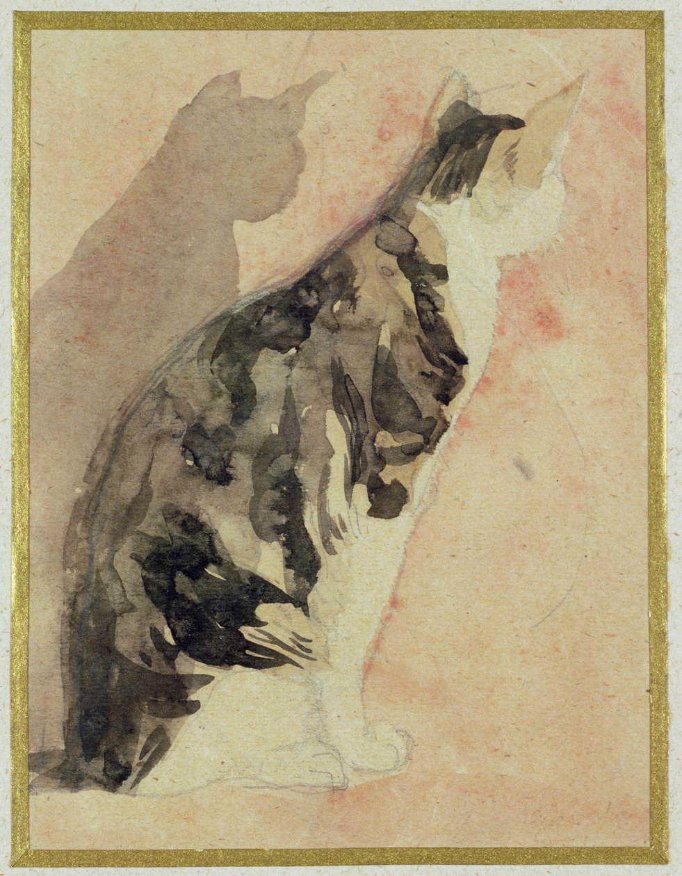 Studie av en katt av Gwen John