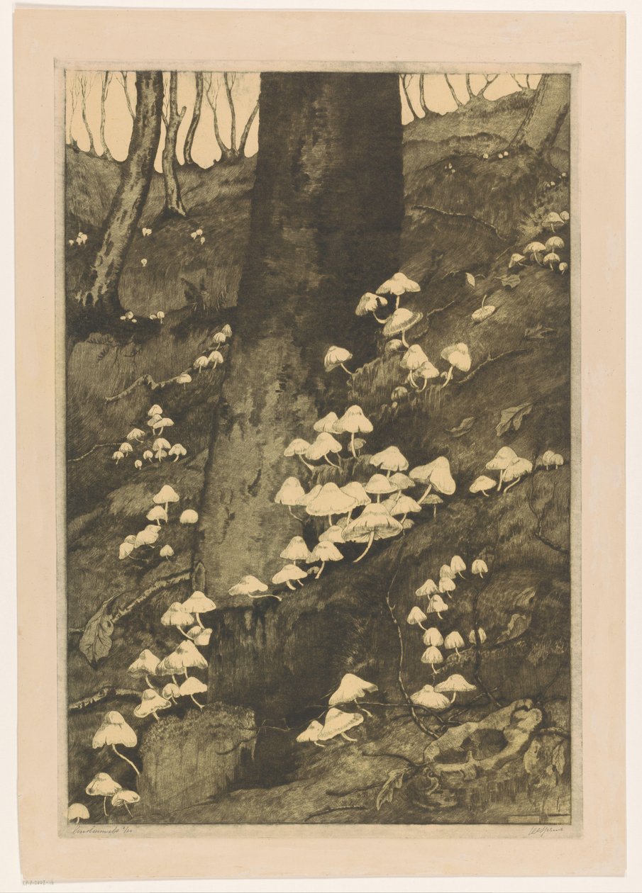 Sopp i en skog Høst (original tittel) av H.C. Spruit (signed by artist)