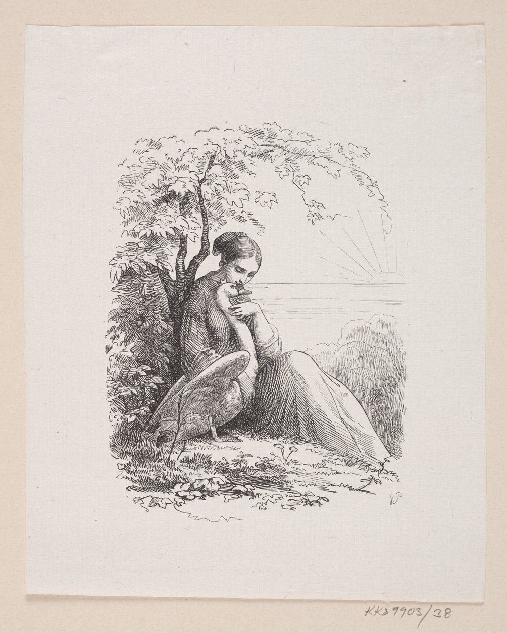 Illustrasjon til "De ville svanene" i H.C. Andersen, "Eventyr og historier", bind 1 av H.P. Hansen