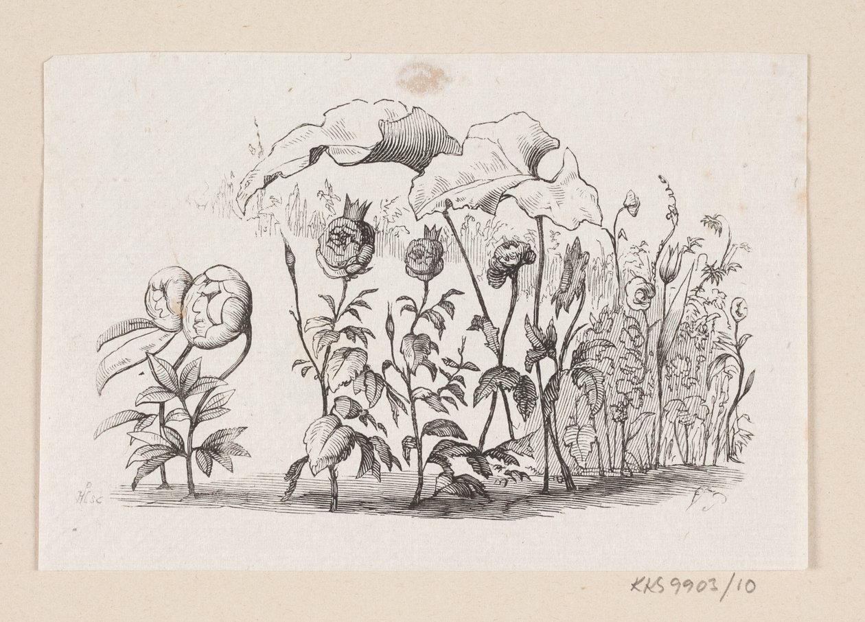 Illustrasjon til "Den lille Idas Blomster" i H.C. Andersen, "Eventyr og historier", bind 1 av H.P. Hansen