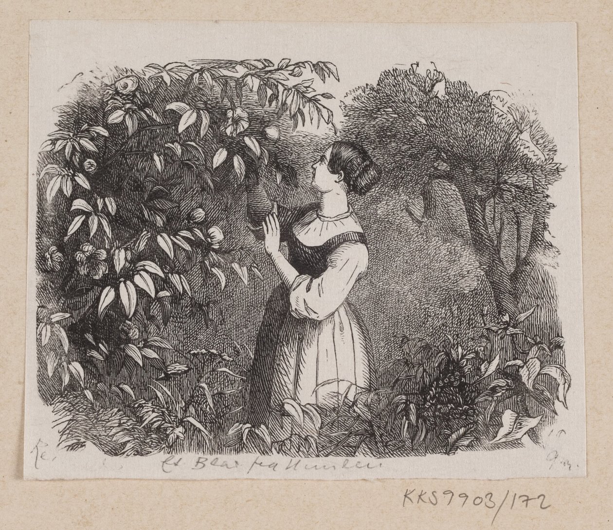 Illustrasjon til "A Leaf from Heaven" i H.C. Andersen, "Eventyr og historier", bind 2 av H.P. Hansen