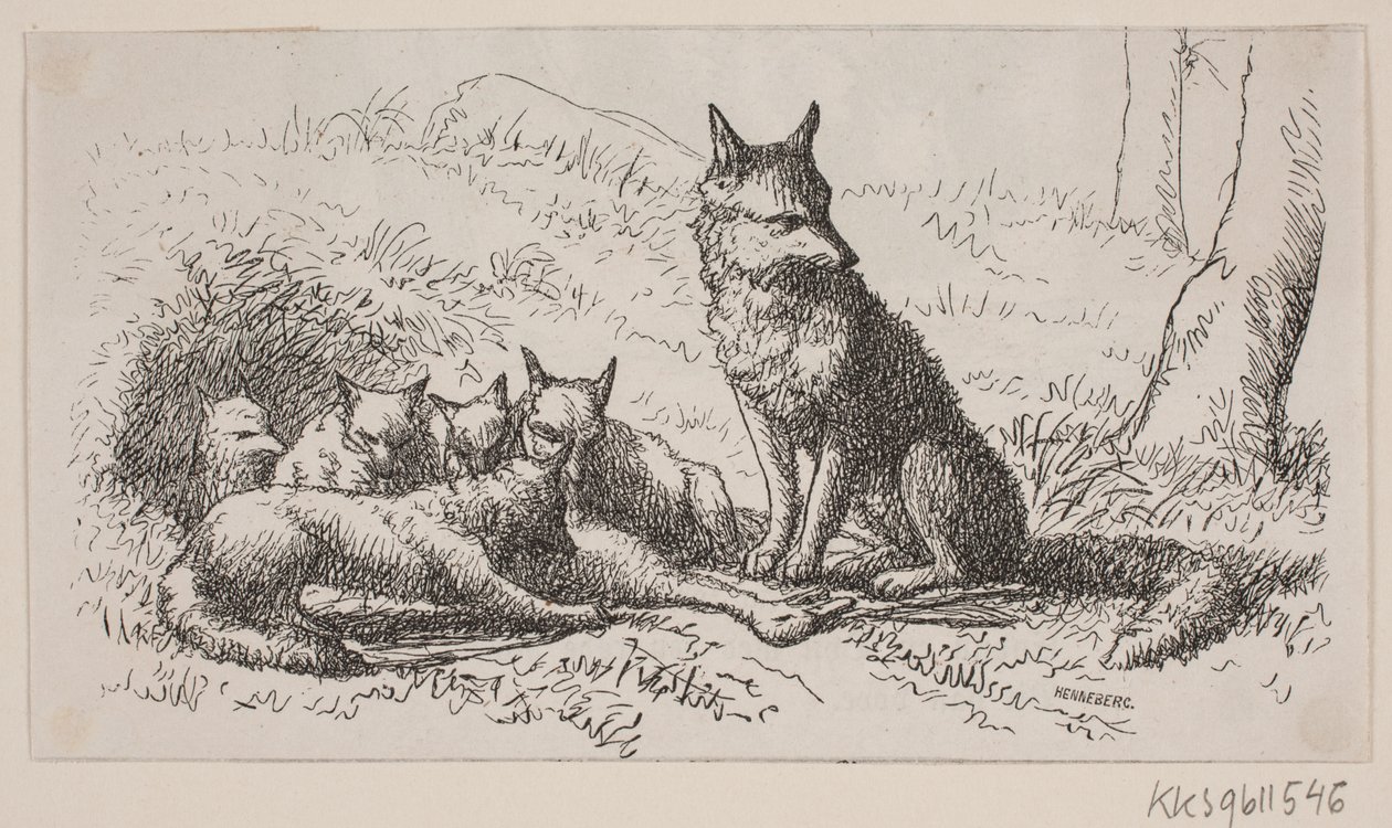 Illustrasjon for: "Mr. Mikkel" av H. C. Henneberg