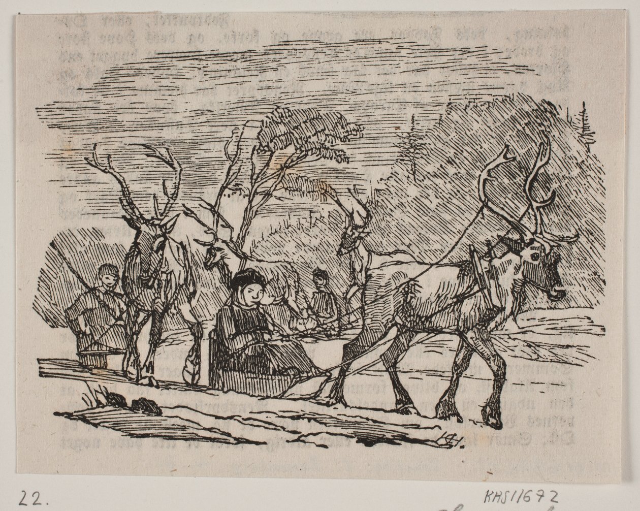 Kanefart med reinsdyr av H. C. Henneberg
