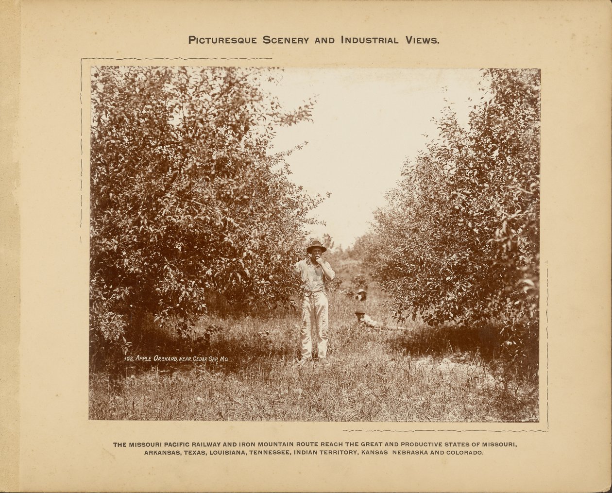  av H. C. Townsend