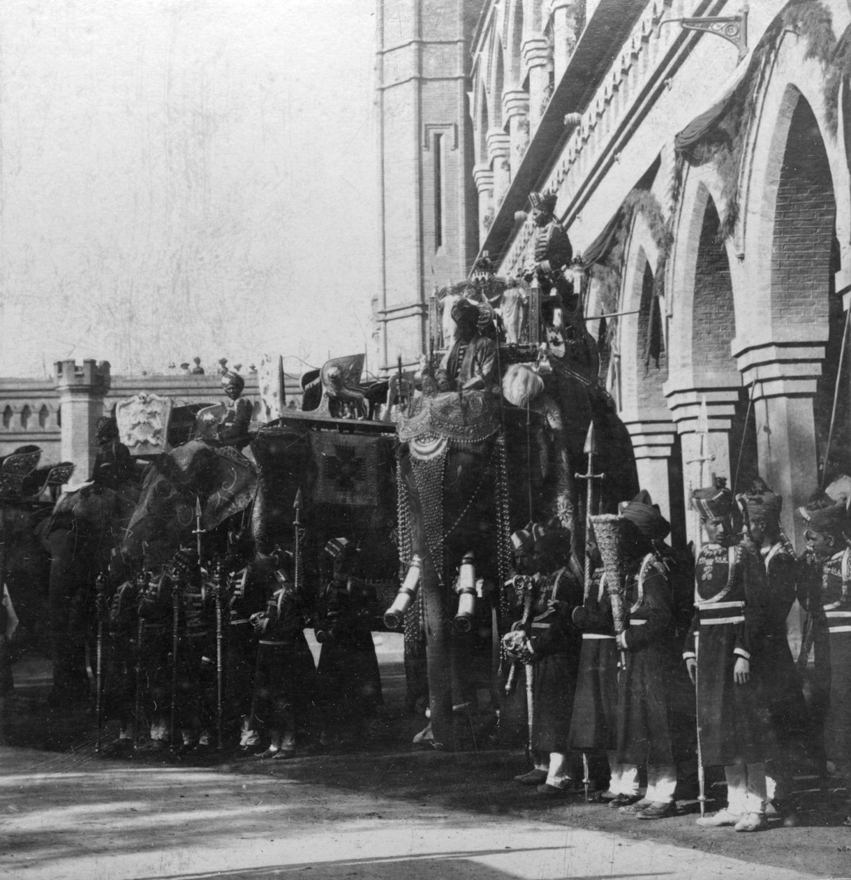 Visekongenes elefant, Delhi, India, 1900-tallet. av H. Hands and Son