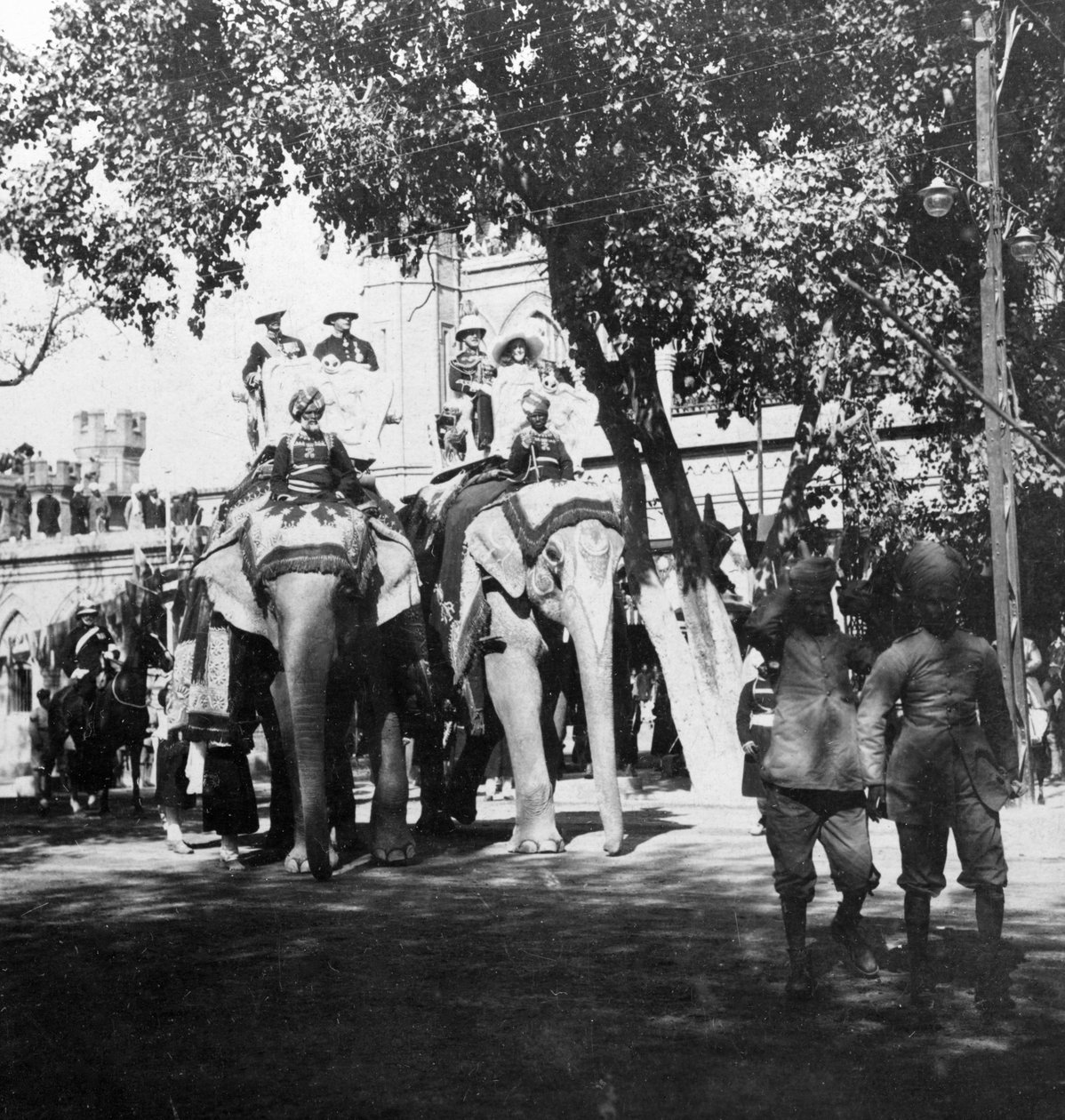 Viceregal stab og hans datter deltar i elefantprosesjonen, Delhi, India, 1900-tallet. av H. Hands and Son