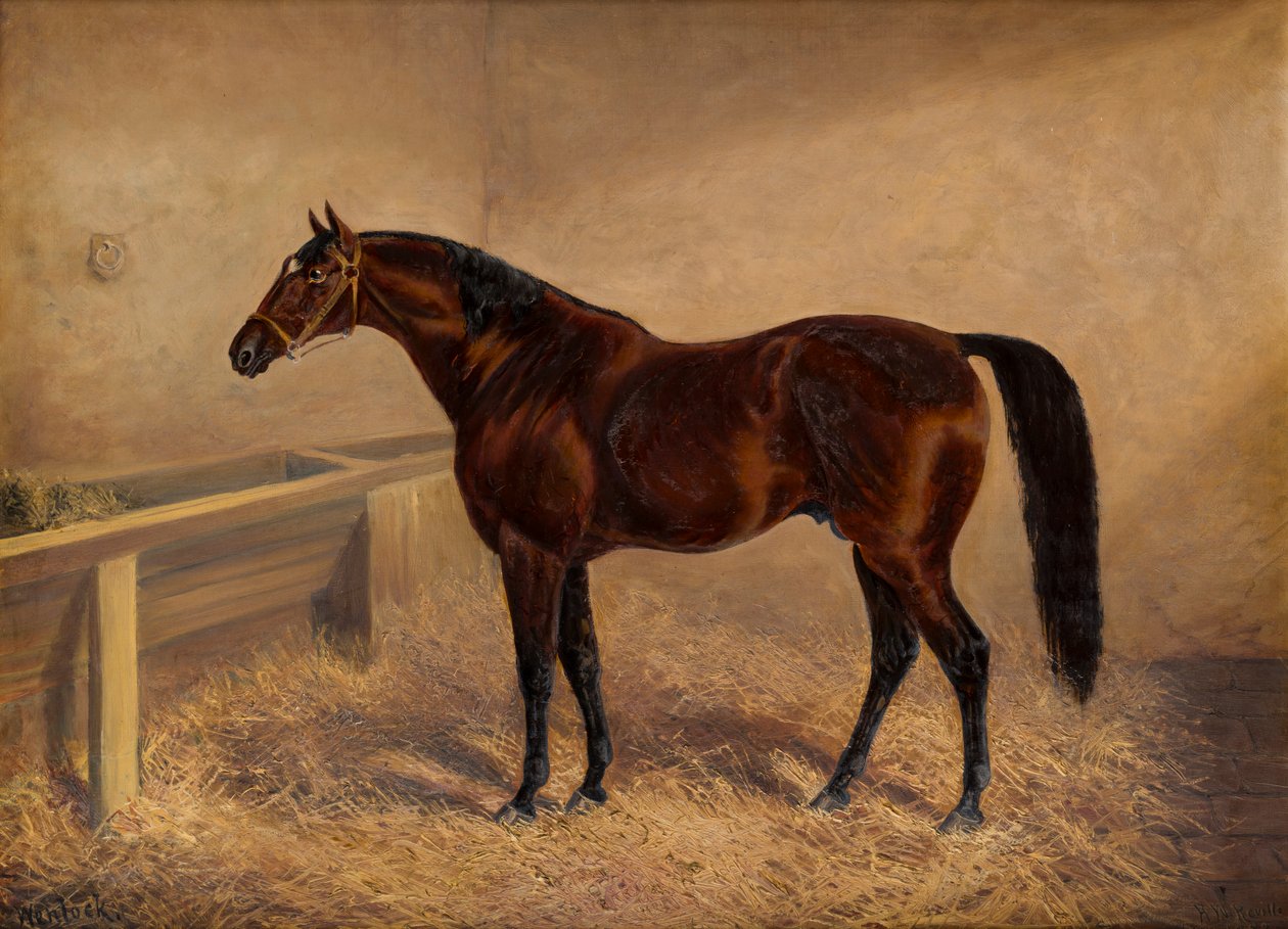 Wenlock : A Bay Racehorse, in a loose box, c.1881-1903 (oil on canvas)   1405870   no       norwegian Successfully Translated  Original: Walking Figure Seen from Behind Translat: Walking Figure Seen from Behind 1226534 no norwegian Successfully Translated  av H. Whittaker Reville