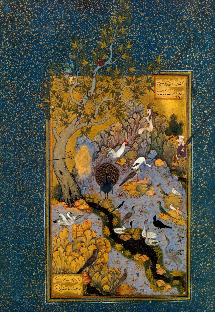 Folio fra Mantiq al-Tayr The Language of the Birds, av Attar, c1600. av Habib Allah