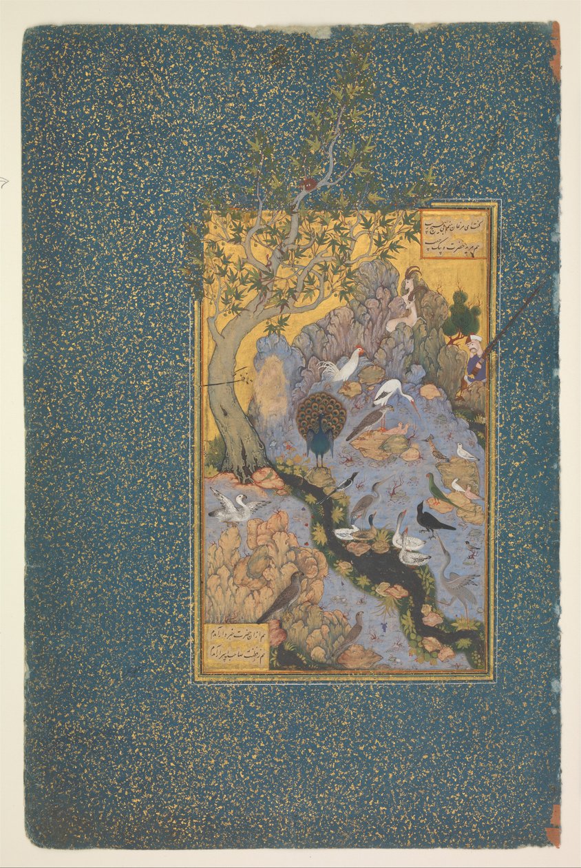 Side fra et manuskript av Mantiq al-Tayr (Conference of the Birds) av Habiballah of Sava