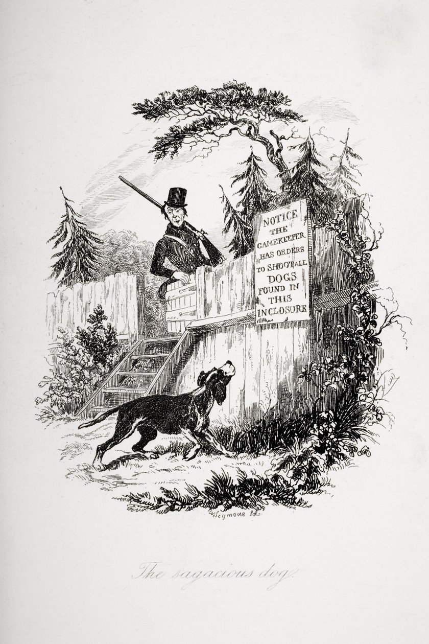 Den kloke hunden, illustrasjon fra `The Pickwick Papers