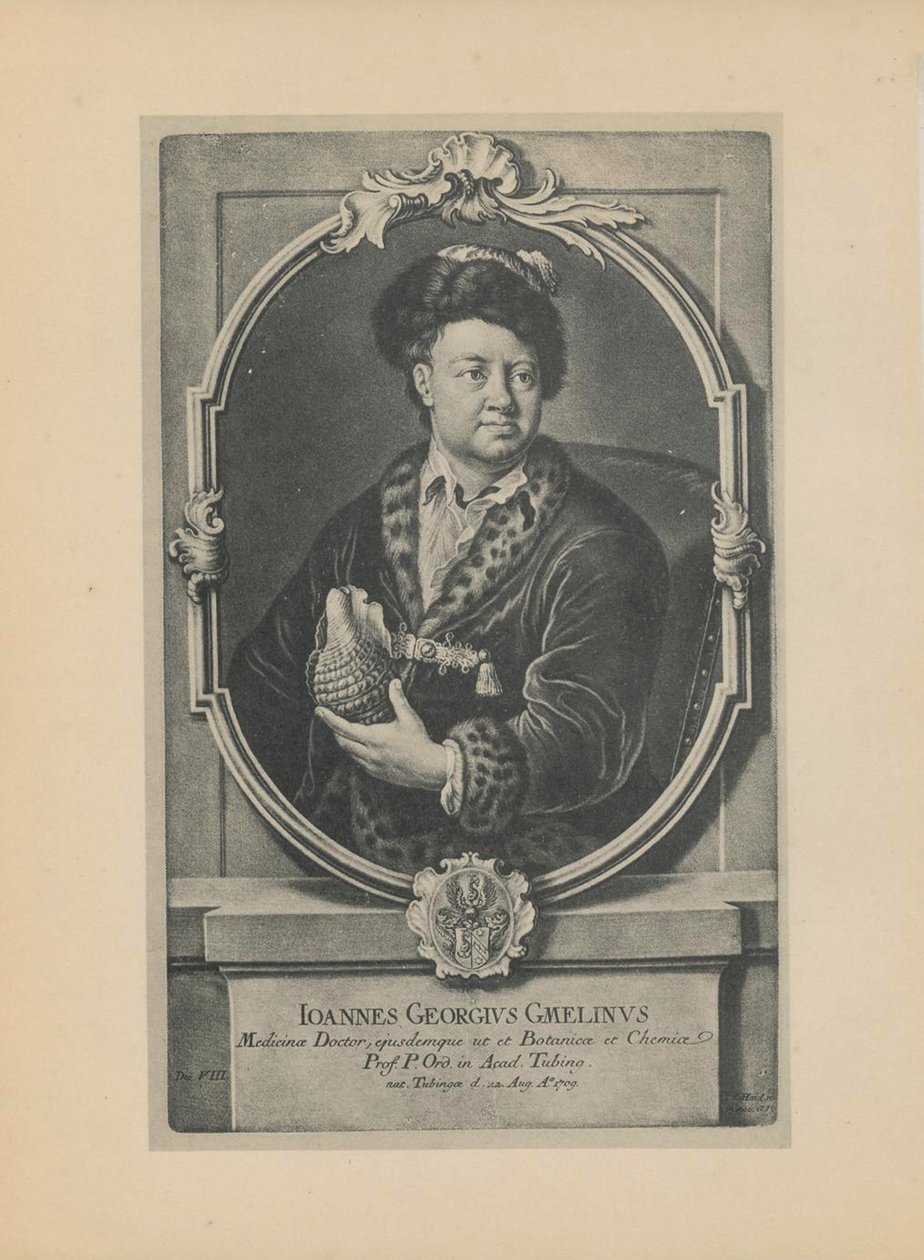 Portrett av naturforskeren, botanikeren og geografen Johann Georg Gmelin 1709-1755, midten av det 18. århundre. av Haid