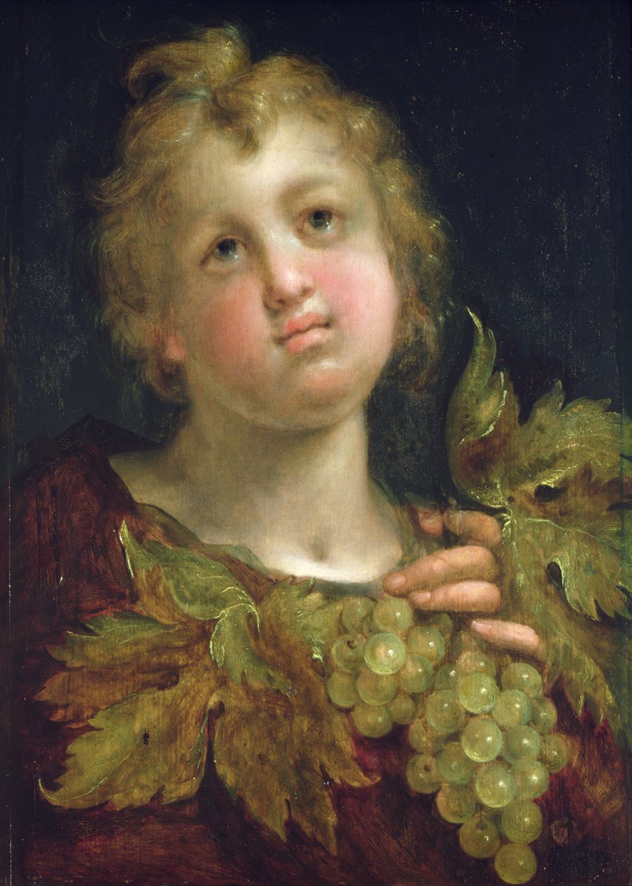 Gutt med en drueklase, 1600-5 av Hans von Aachen