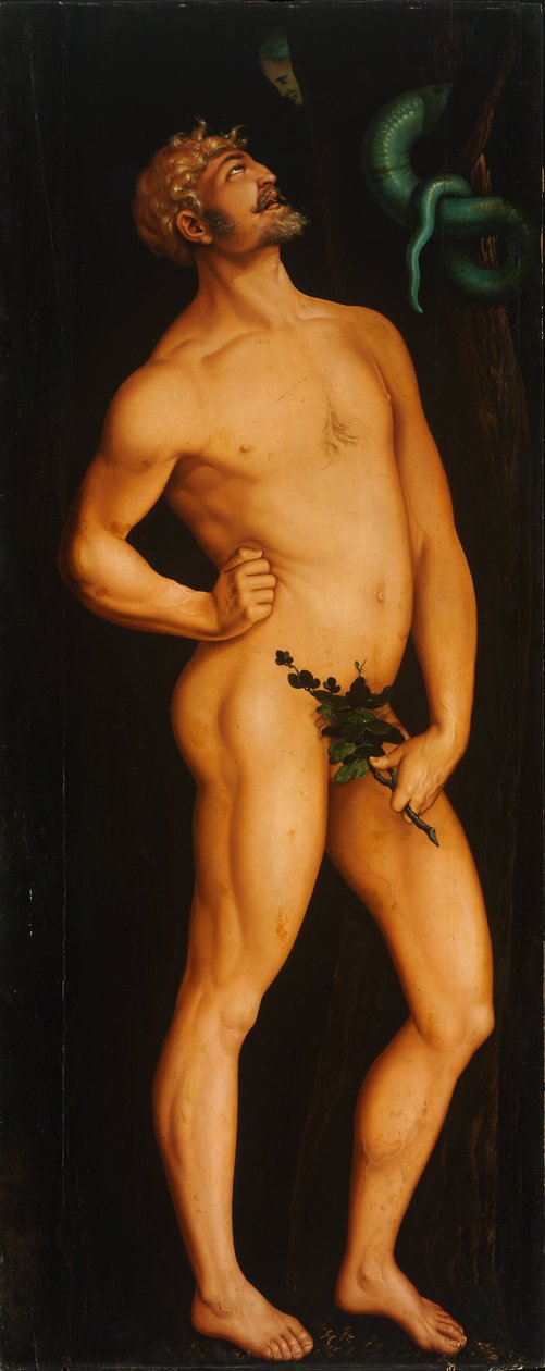 Adam av Hans Baldung Grien