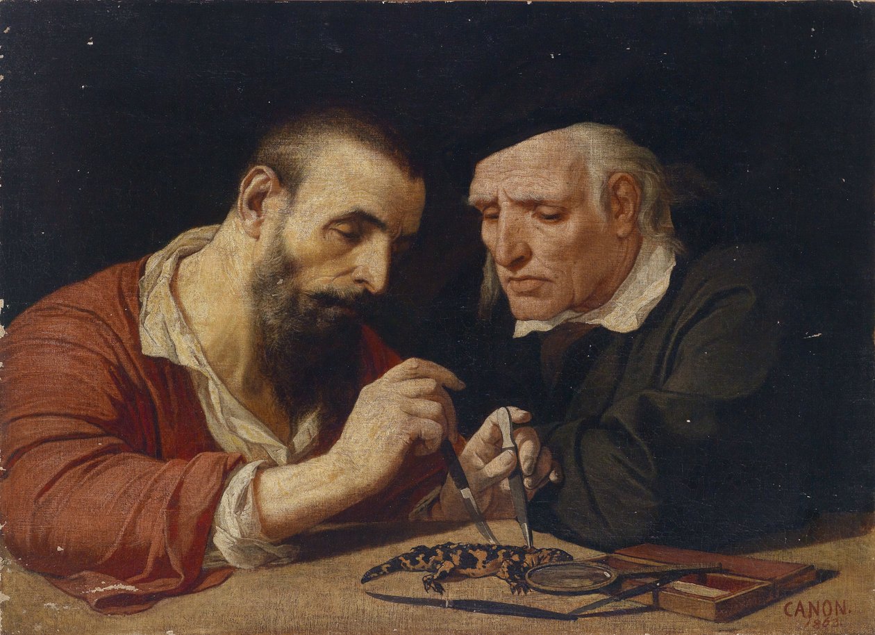 Salamanderen av Hans Canon