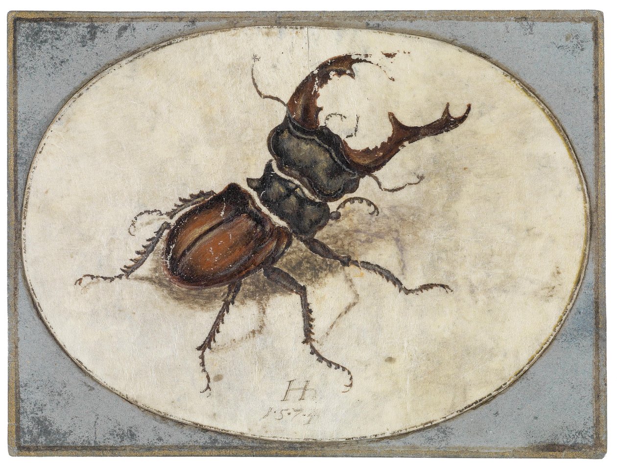Hjortebille (etter Albrecht Dürer) av Hans Hoffmann